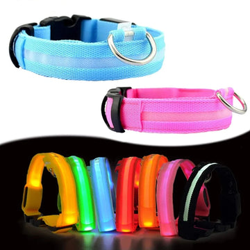 LED Pet Dog Collar