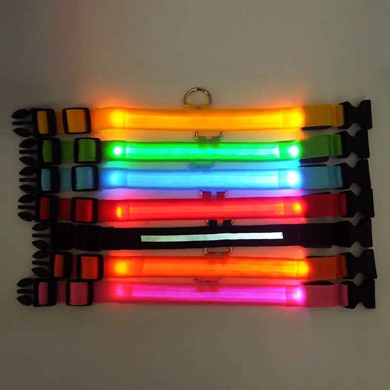 LED Pet Dog Collar