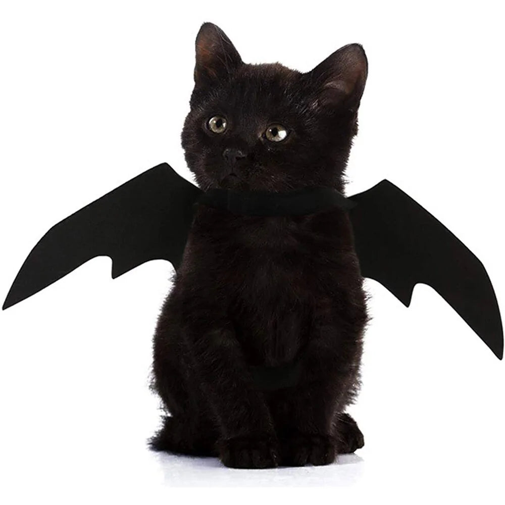 Halloween Pet Black Bat Costume